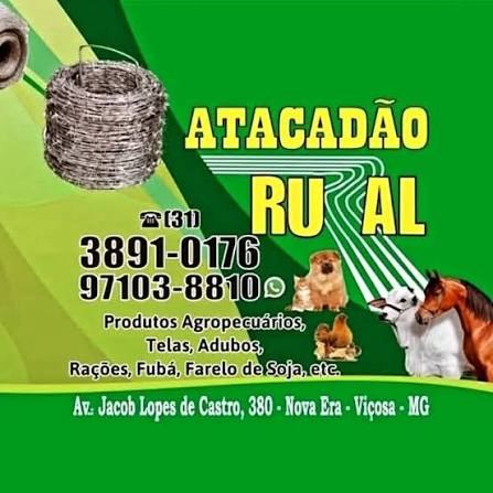 Logo Atacadão Rural
